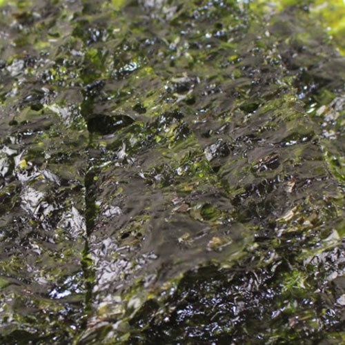 Private Label Korean Seaweed Snacks In Bulk & Wholesale