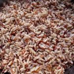 Thai Brown Jasmine Rice