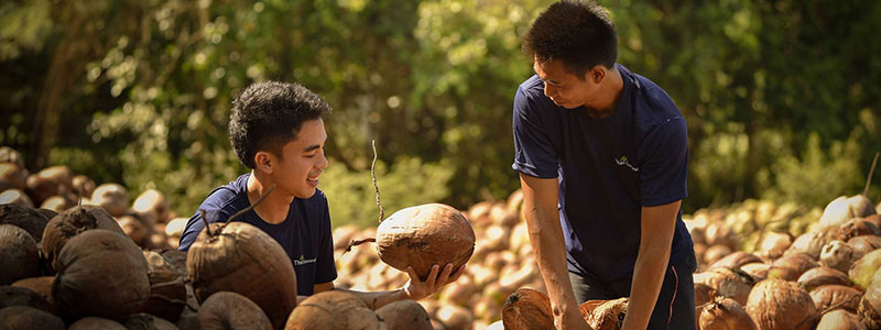 Coconut products and brands